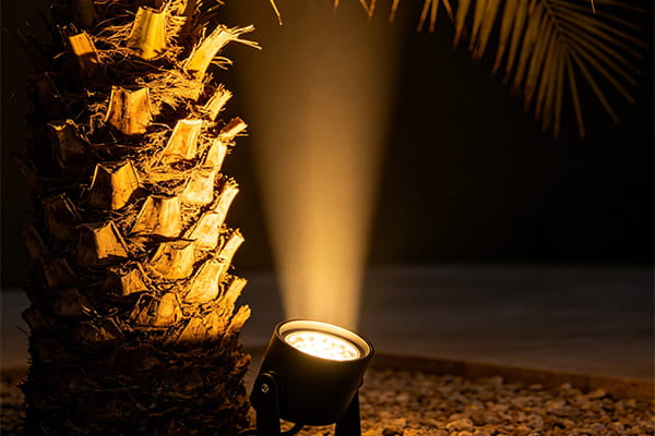 Close-up of a narrow-beam uplight at the base of a palm tree